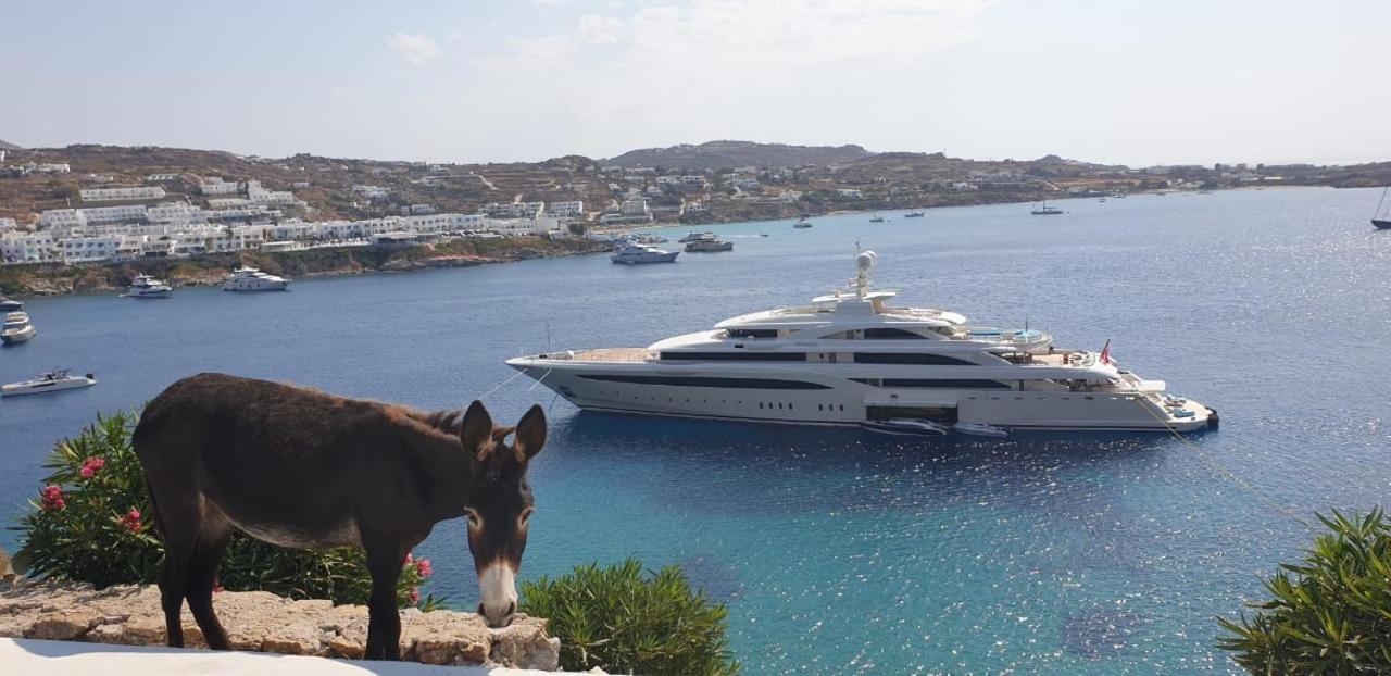 Aparthotel Mykonos Azure Psarou  Esterno foto